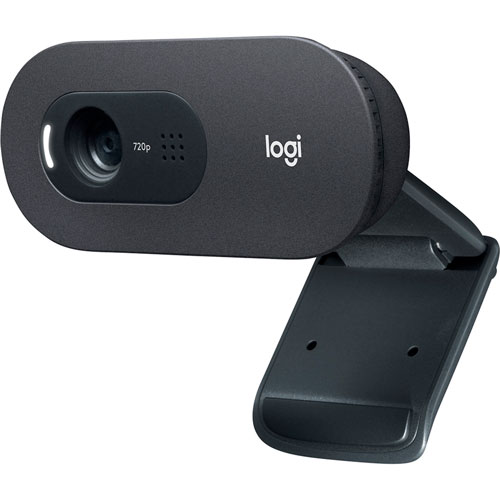 Cámara Web Logitech C505 Hd con micrófono negro