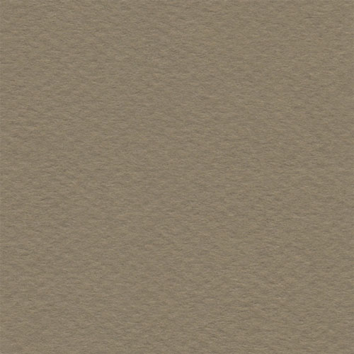 Cartulina Mi-Teintes Canson 336 Cachou de 160 G 50X65 CM