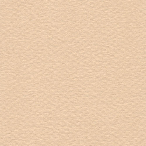 Cartulina Mi-Teintes Canson 350 Rose Muraile de 160 G 50X65 CM