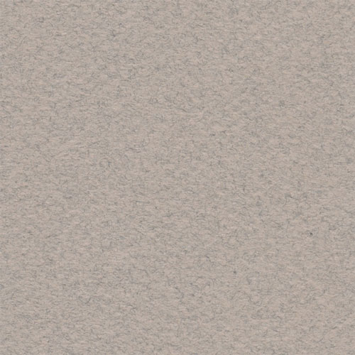 Cartulina Mi-Teintes Canson 426 Gris Clair de 160 G 50X65 CM