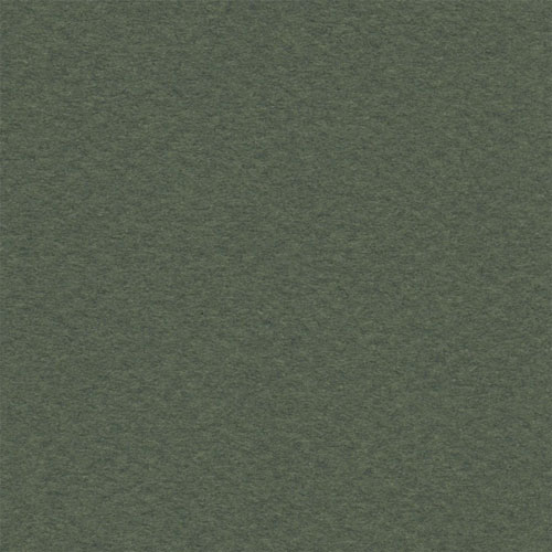 Cartulina Mi-Teintes Canson 448 Vert Ocean de 160 G 50X65 CM
