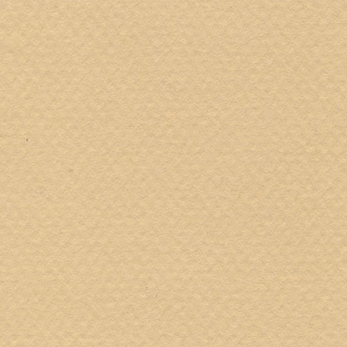 Cartulina Mi-Teintes Canson 470 Mais de 160 G 50X65 CM