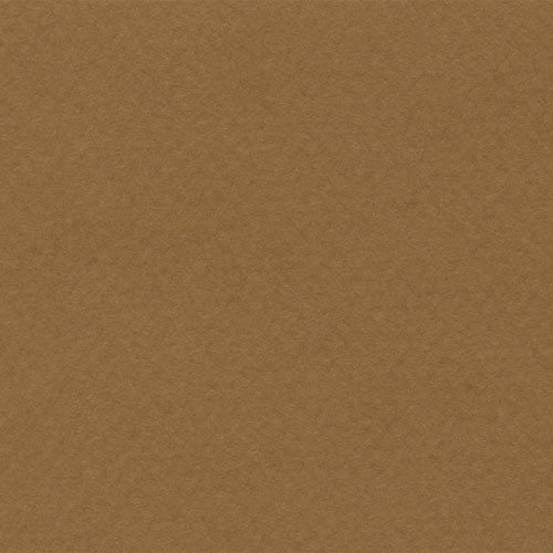 Cartulina Mi-Teintes Canson 502 Havane Clair de 160 G 50X65 CM