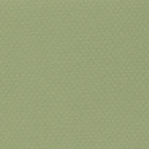 Cartulina Mi-Teintes Canson 480 Vert Amand de 160 G 50X65 CM