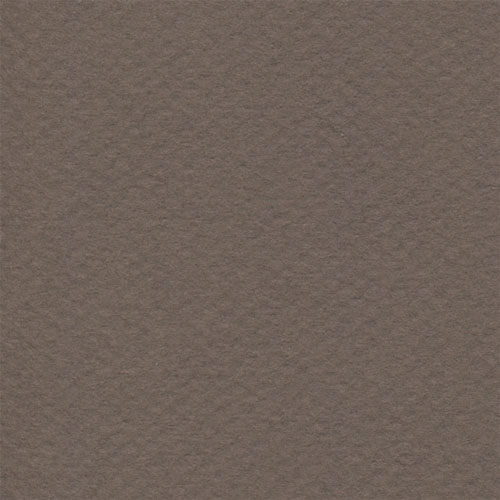 Cartulina Mi-Teintes Canson 133 Sepia de 160 G 50X65 CM