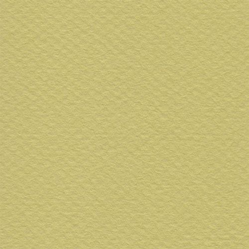 Cartulina Mi-Teintes Canson 107 Anis de 160 G 50X65 CM
