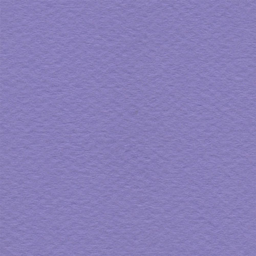 Cartulina Mi-Teintes Canson 113 Myrtille de 160 G 50X65 CM